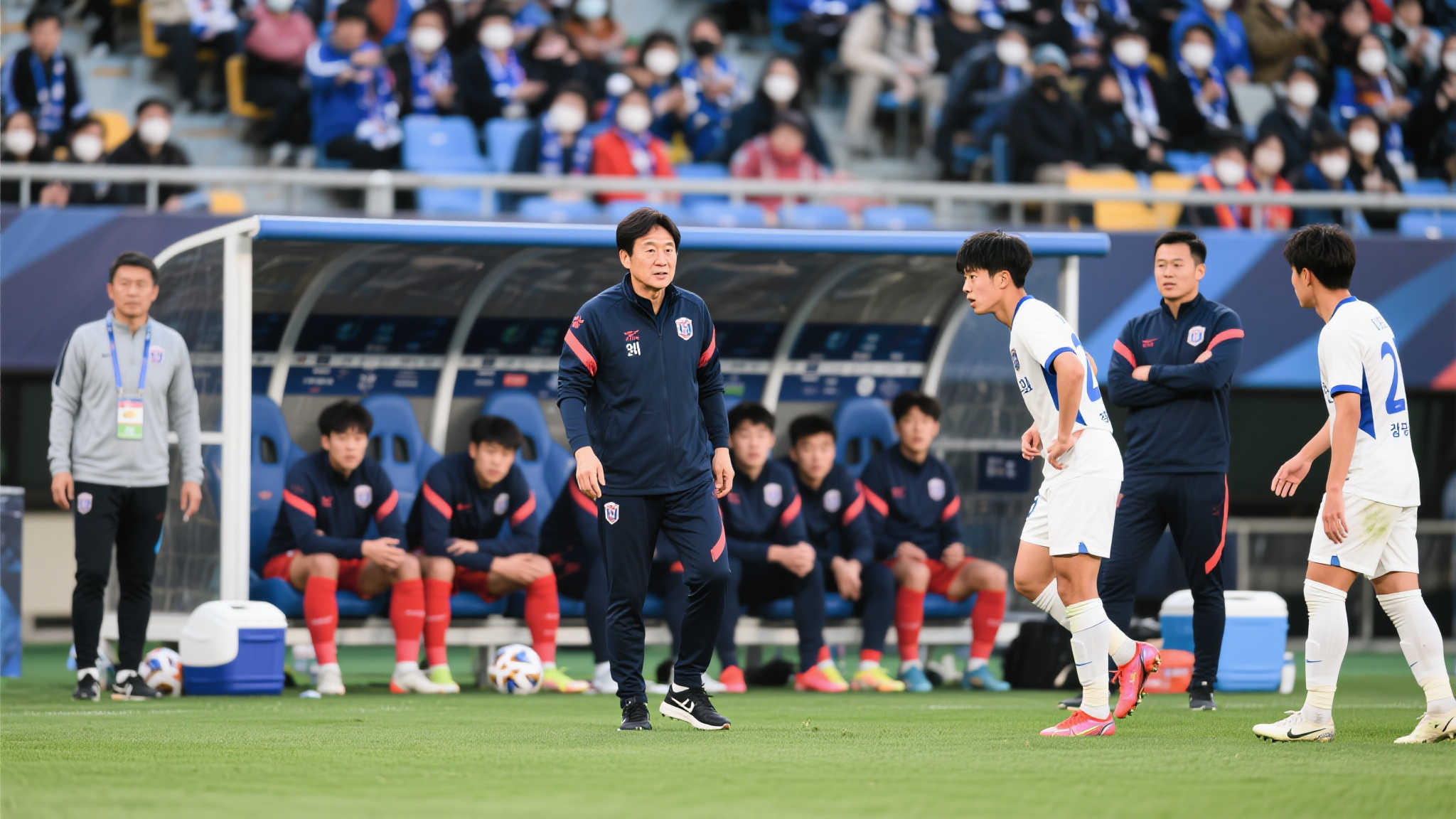 世界杯滚球手机下载